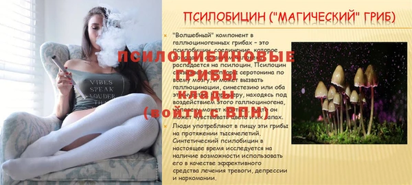амф Заволжье